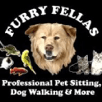 Furry Fellas Pet Service